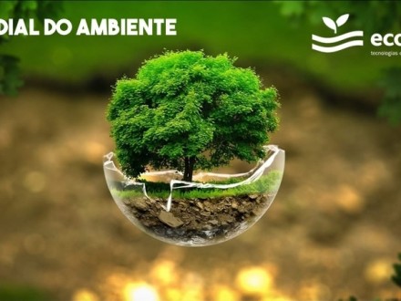 Dia Mundial do Ambiente