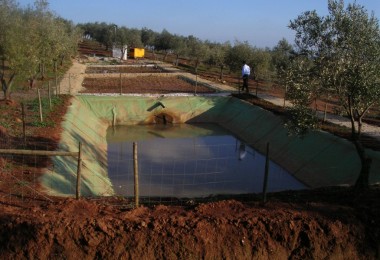 Sociedad Agrcola Herdade do Zambujal